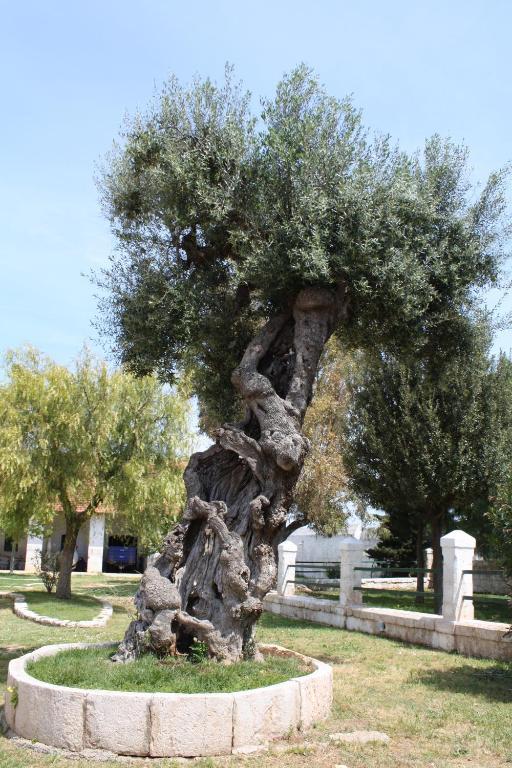 פאסאנו Masseria Maccarone מראה חיצוני תמונה