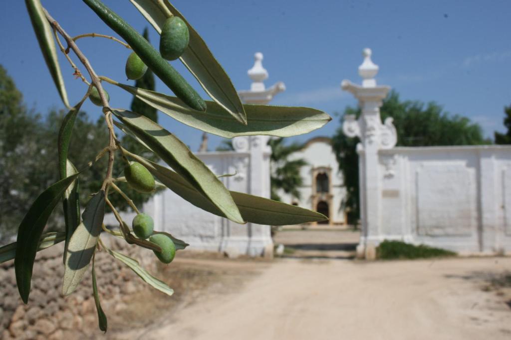 פאסאנו Masseria Maccarone מראה חיצוני תמונה