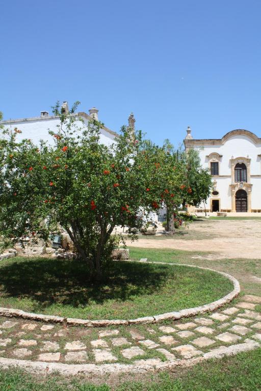 פאסאנו Masseria Maccarone מראה חיצוני תמונה