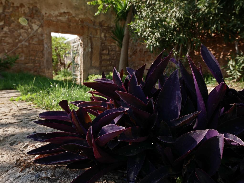 פאסאנו Masseria Maccarone מראה חיצוני תמונה