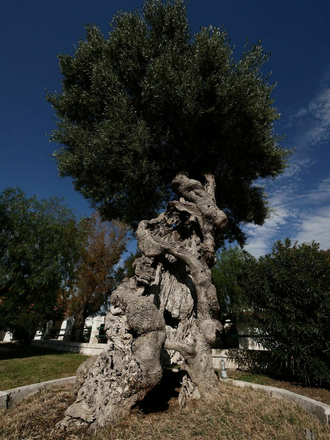 פאסאנו Masseria Maccarone מראה חיצוני תמונה